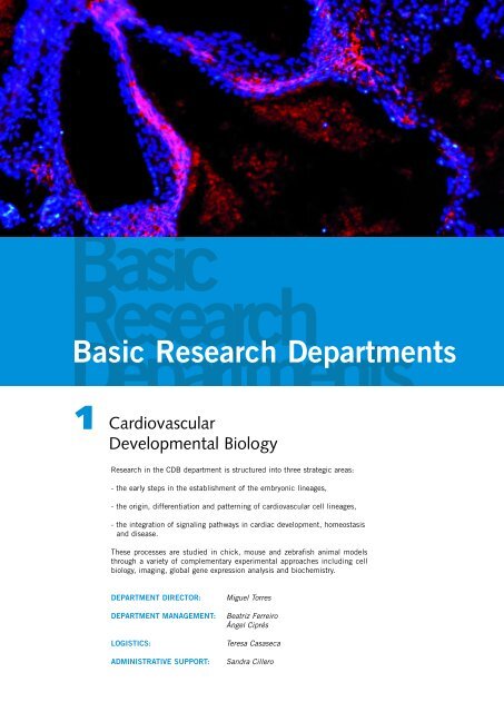 Basic Research Departments - CNIC