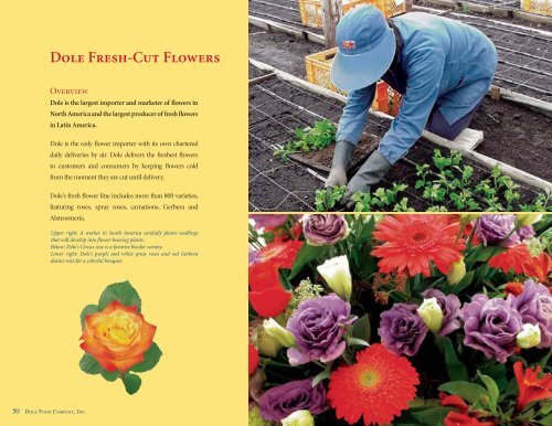 Dole Fresh-Cut Flowers