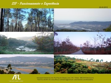 ZIF - Funcionamento e Experiência - Forestis