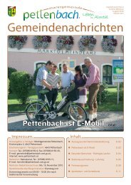 Gemeindenachrichten 05/2010 - Pettenbach