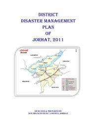 formulation of district disaster management authority (ddma)