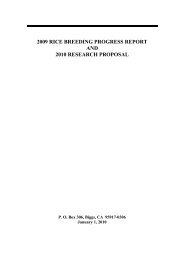 2009 rice breeding progress report and 2010 research proposal