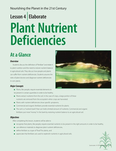 Lesson 4 Elaborate At a Glance - Nutrients for life