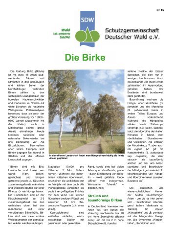 Die Birke - Schutzgemeinschaft Deutscher Wald