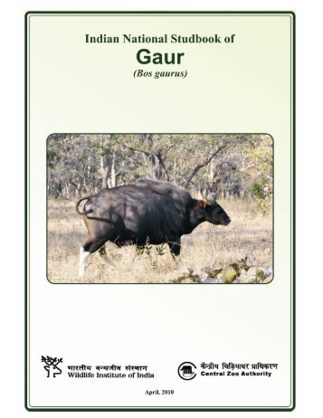 Indian Bison (Gaur) (As submitted by WII) - Central Zoo Authority