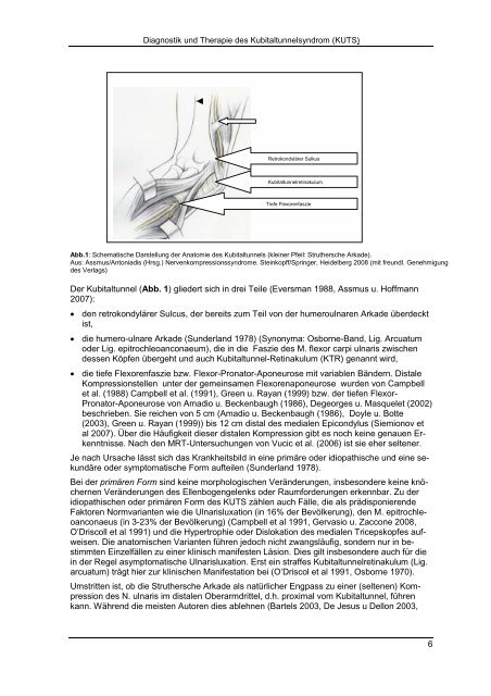 Diagnostik und Therapie des Kubitaltunnelsyndroms ... - Arztbibliothek