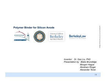 Polymer Binder for Silicon Anode Inventor - Energy Institute at Haas