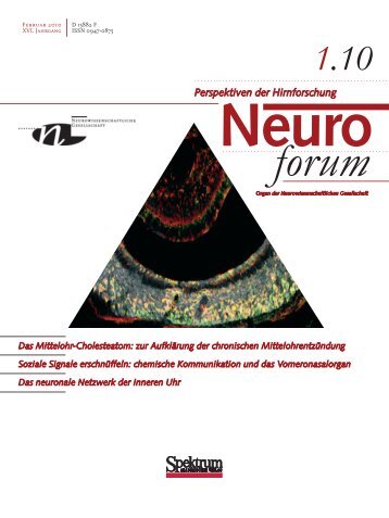 Atem-Stoffwechsel • Nahrungs - Neurowissenschaftliche Gesellschaft ...