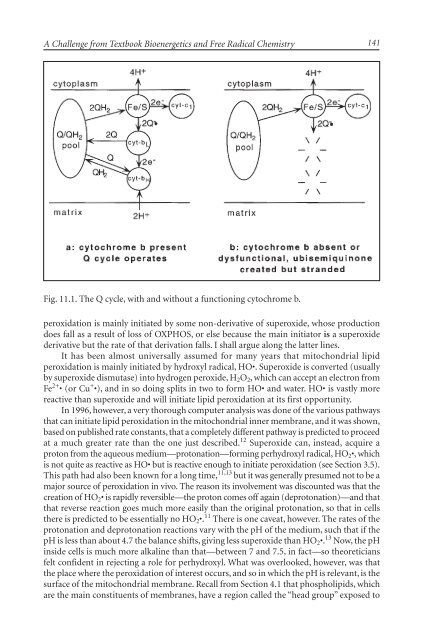 The Mitochondrial Free Radical Theory of Aging - Supernova: Pliki