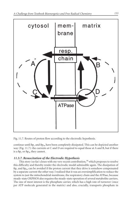 The Mitochondrial Free Radical Theory of Aging - Supernova: Pliki