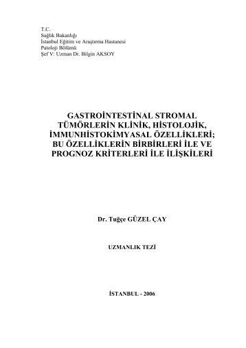 gastrointestinal stromal tümörlerin klinik, histolojik