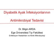 Diyabetik ayak enfeksiyonlarının tedavisi - EKMUD