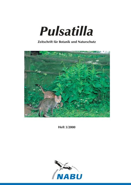 Pulsatilla - Nabu