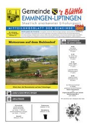 Motocross auf dem Buhlenhof - Emmingen-Liptingen