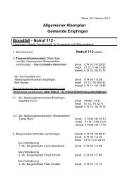 Alarmplan Gemeinde Empfingen allgemein (2012)