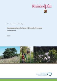 Vertragsnaturschutz und Biotopbetreuung Projektberichte