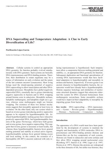 DNA Supercoiling and Temperature Adaptation - Université Paris-Sud