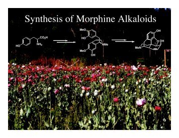 Synthesis of Morphine Alkaloids