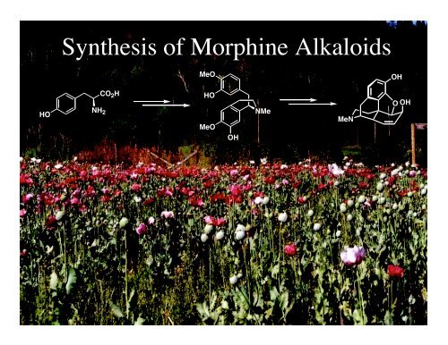 Synthesis of Morphine Alkaloids