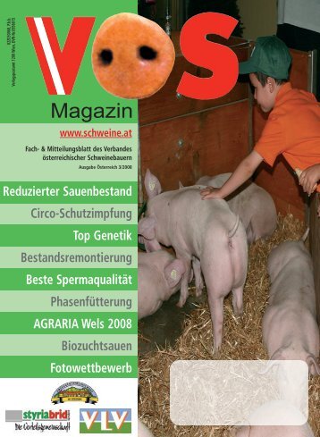 voes 3-2008:VÖS 1/2005 - Schweine.at
