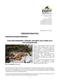 presseinformation - Zoo Schwerin