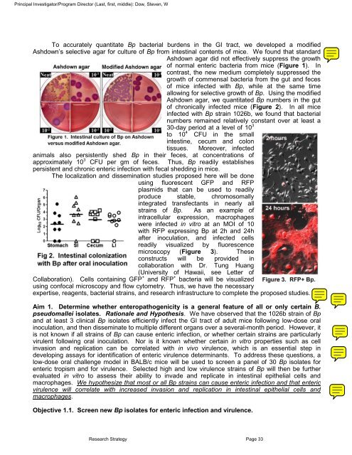 Sample Grant Application - NIAID - National Institutes of Health