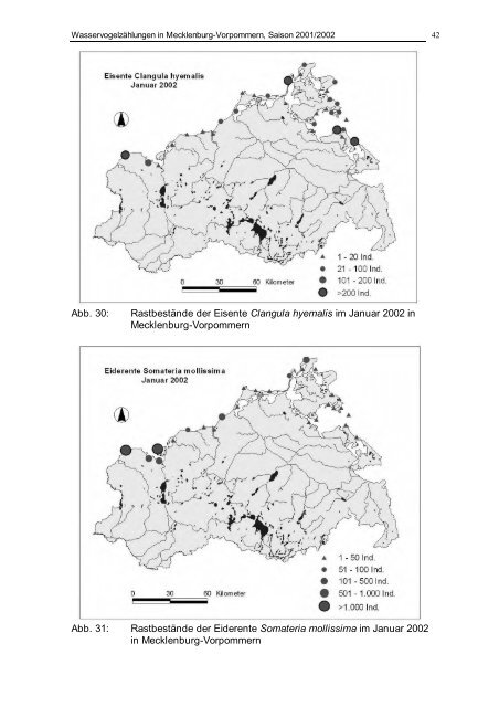 Bericht Wasservogelzählung Mecklenburg-Vorpommern 2001/2002