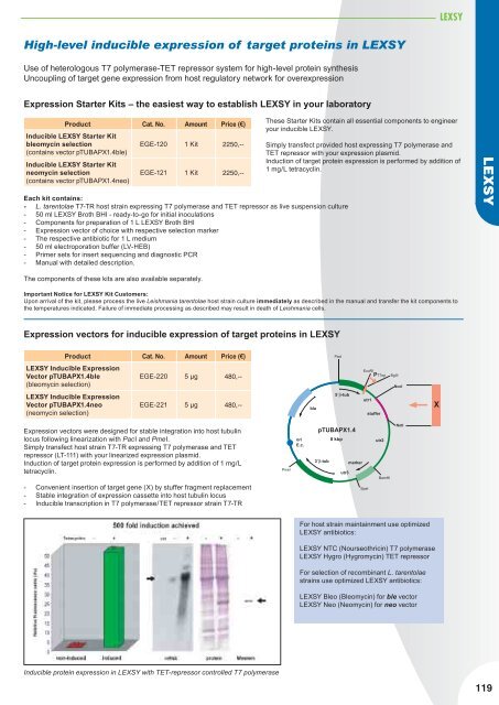 Nucleotide Analogs - Jena Bioscience