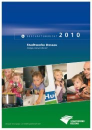 Geschäftsbericht 2010 - Dessauer Versorgungs