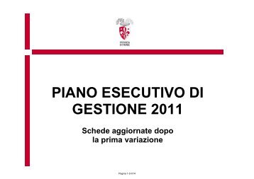 Piano Esecutivo di Gestione 2011 Variazione n. 1 Direzione Generale