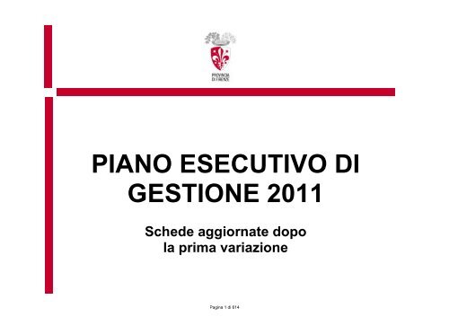 Piano Esecutivo di Gestione 2011 Variazione n. 1 Direzione Generale