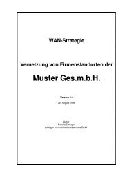 WAN-Strategie - Schlager Communications Services GmbH