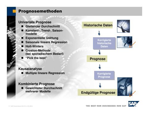 APO-Einsatz-SAP.pdf