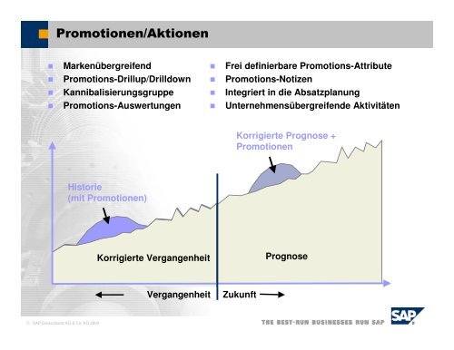 APO-Einsatz-SAP.pdf