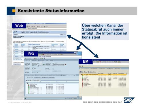 APO-Einsatz-SAP.pdf