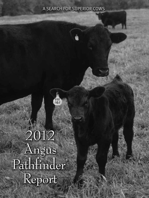 Pathfinder 2012 - American Angus Association