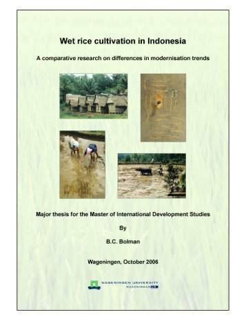 Wet rice cultivation in Indonesia - Free EBooks Library