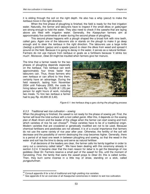 Wet rice cultivation in Indonesia - Free EBooks Library