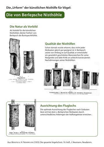 Gewächshäuser Aus Holz nisthilfen zum selberbauen Gewächshäuser Aus Holz nisthilfen zum selberbauen