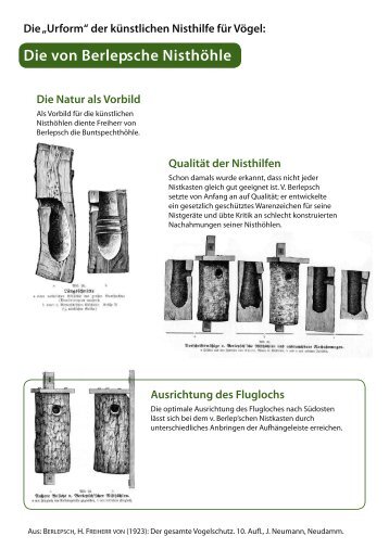 Nisthilfen für Uferschwalben