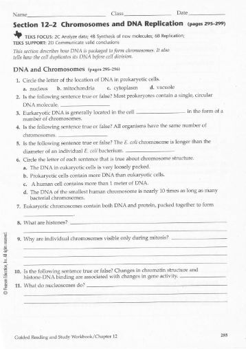 Printables Dna The Molecule Of Heredity Worksheet dna base pairing worksheet answer key intrepidpath 26 1 chromosomes and genes