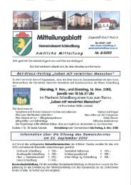 Ausgabe 8/2010 (4,55 MB) - Schiedlberg