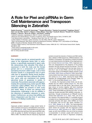 A Role for Piwi and piRNAs in Germ Cell ... - Hubrecht Institute