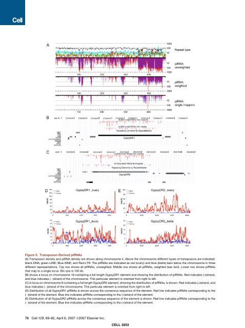 A Role for Piwi and piRNAs in Germ Cell ... - Hubrecht Institute