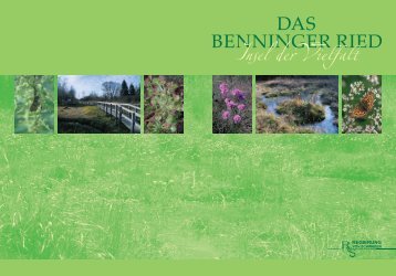 Das Benninger Ried (PDF) - Regierung von Schwaben - Bayern