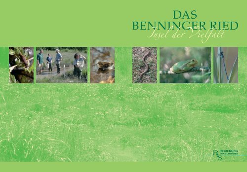 Das Benninger Ried (PDF) - Regierung von Schwaben - Bayern