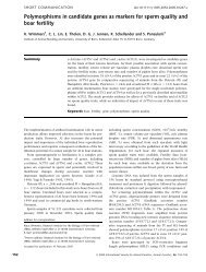 Polymorphisms in candidate genes as markers for sperm quality and ...