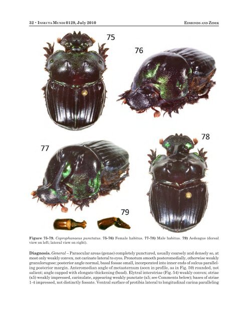 insecta mundi - Center for Systematic Entomology