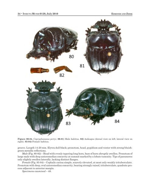 insecta mundi - Center for Systematic Entomology