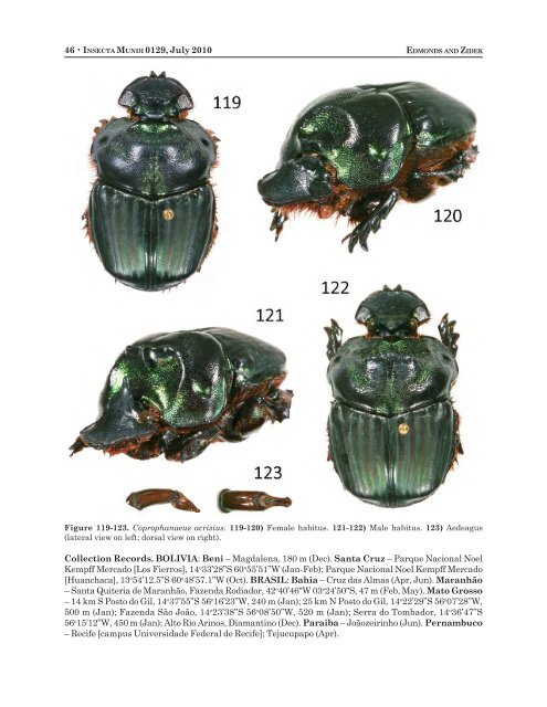 insecta mundi - Center for Systematic Entomology